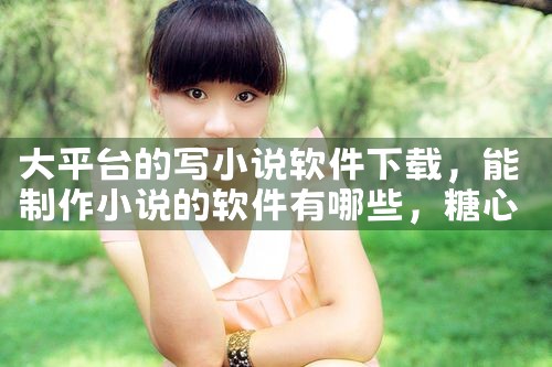 大平台的写小说软件下载|糖心Vlog入口