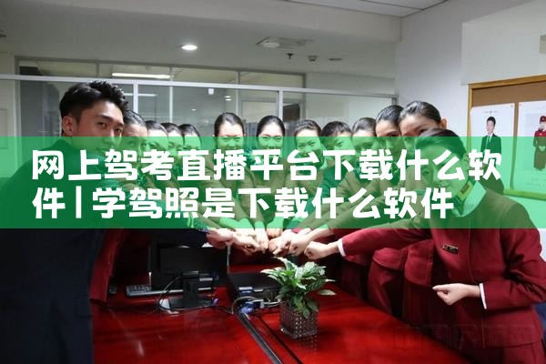 网上驾考直播平台下载什么软件