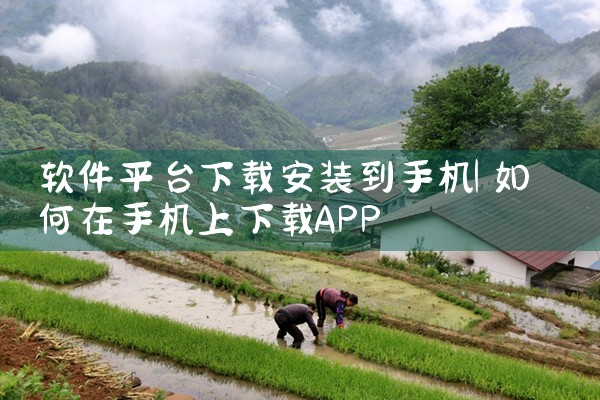 软件平台下载安装到手机