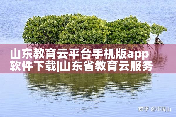 未来软件智慧云平台下载|糖心Vlog入口
