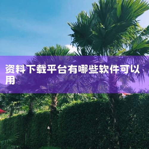 豆丁网也是一个优秀的资料查找平台，号称拥有五亿资源。通过使用 VVV 文档在线导出工具，用户同样可以在豆丁网获取所需资源，操作步骤与百度文库相似。通过简单的操作，用户可以轻松获取文档资源，无需开通VI|